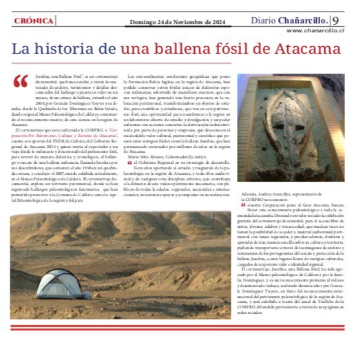 Prensa 4